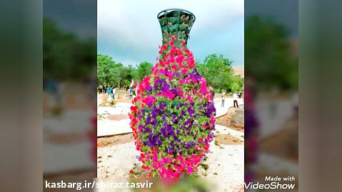 باغ گلها - شیراز - مناظر دیدنی و استقبال شیرازی ها. با صدای حامد فقیهی