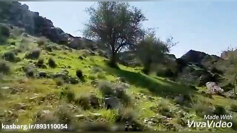 نماآهنگ طبیعت سبز وکوهستانی فاریاب شهرستان رودان
