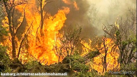 دکلمه در مورد آتش سوزی جنگلهای زاگرس و زاگرس نشینان