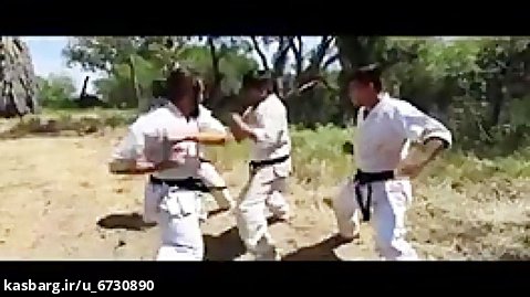 مبارزه کیوکوشین با سایر سبکهای کاراته