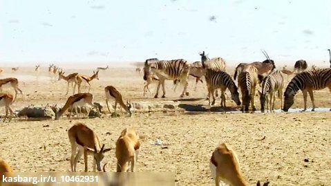 مستند سریالی زمین سیاره شگفت انگیز 2016 دوبله فارسی قسمت 04 صحراها