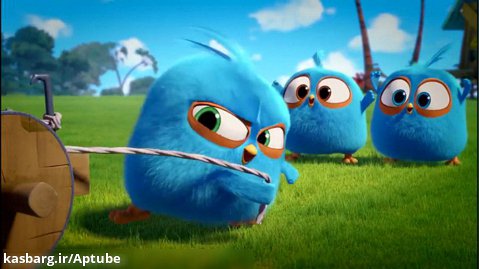 انگری بردز | انیمیشن کوتاه Angry Birds Blues | انیمیشن کودکان انگری بردز