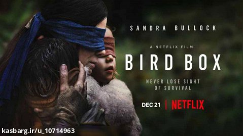 فیلم Bird Box 2018 جعبه پرنده با زیرنویس فارسی Full HD