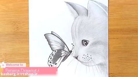 آموزش نقاشی گربه ای همراه با پروانه