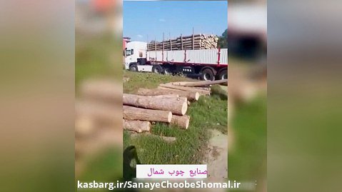ارسال چوب صنوبر به معادن کشور
