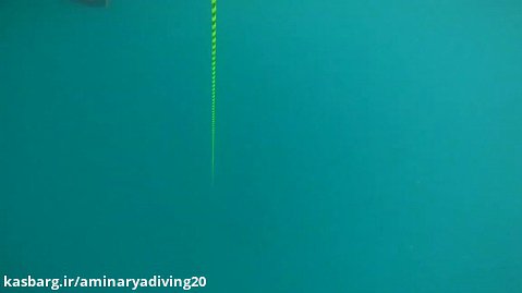 رکورد ۴۹.۳ متری فری دایوینگ امین جدیدی