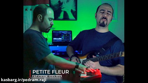 اجرای آهنگ Petite Fleur با گیتار الکتریک - ریمیکس پدرام راجی