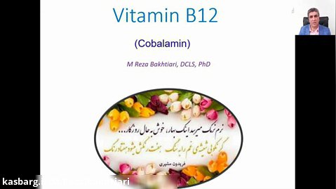 نکات مهم و چالش های آزمایش ویتامین B12