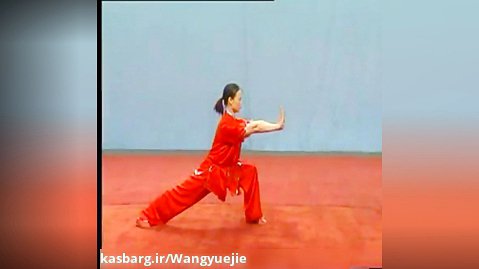 هنر رزمی ووشو: آموزش حرکات پایه و قوانین داوری در سبکهای شمالی (چانگ چوان)