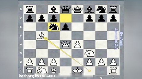 اموزش شطرنج : تاکتیک ها ی شطرنج :: دفاع فیلیدور