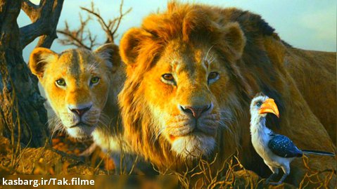 سکانس هیجان انگیز فیلم شیر شاه