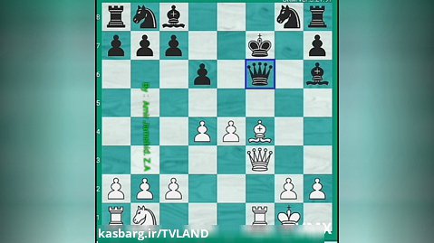 اموزش شطرنج ::: تاکتیک ها و ترکیب های شطرنج