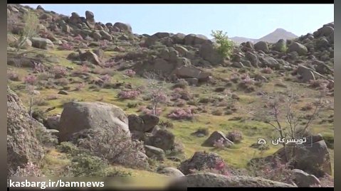 حسین نظر از نصب تابلو قله کوبری بام استان همدان می گوید.
