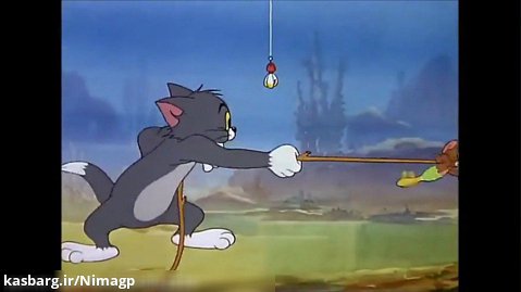 برنامه کودک تام و جری / کارتون گربه و موش دریایی / انیمیشن موش و گربه