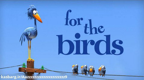 انیمیشن کوتاه برای پرندگان