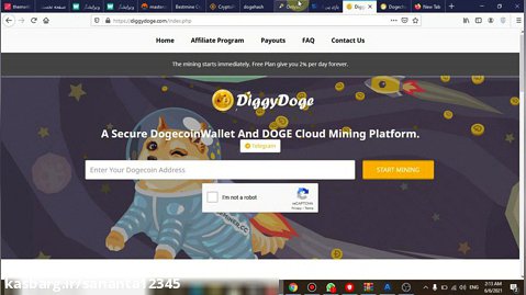 سایت diggydoge