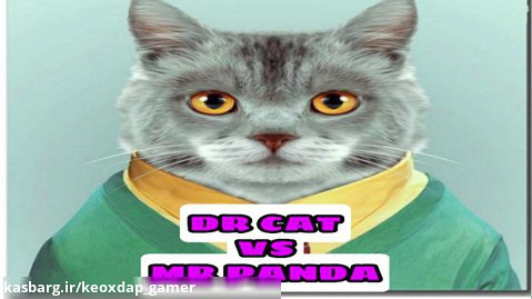 دراما(دعوا) | fight DR_CAT VS MR_PANDA
