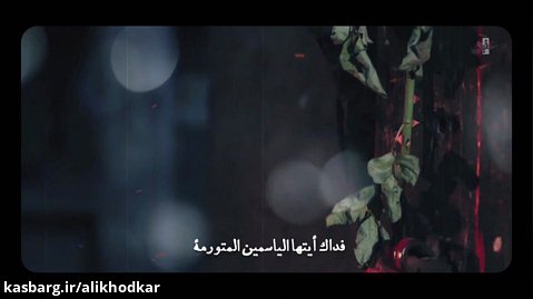 نماهنگ به رنگ یاس، حاج عبدالرضا هلالی و حاج حسین سیب سرخی (مترجم عربی)