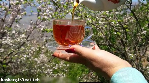حس نوشیدن چای طبیعی گیلان چای تیته teatiteh