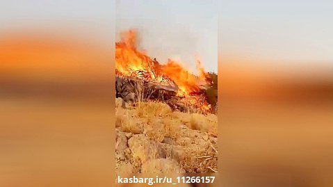 خبر آتش سوزی در جنگل های گچساران کهگلویه و بویر احمد