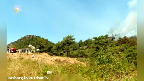آتش سوزی گسترده در جنگل های ترکیه