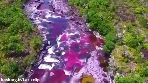 زیباترین رودخانه جهان. کانو کریستال در کلمبیا . رودخانه پنج رنگ