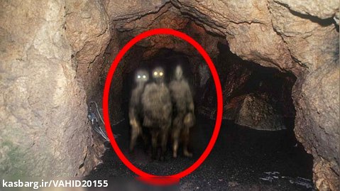 پنج موجود مرموز ناشناخته و عجیب که در یک تونل شکار دوربین شدند