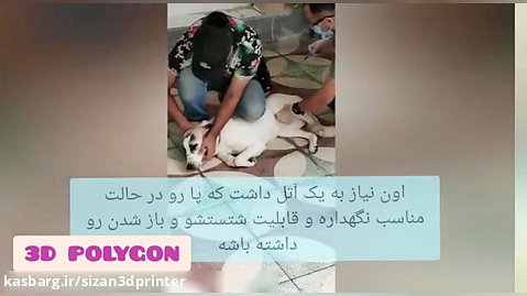 کمک به هوپی، سگ ایرانی با کمک چاپ سه بعدی