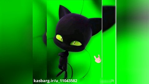 کلیپ گربه سیاه