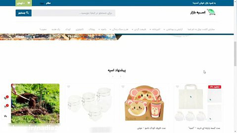 طراحی سایت فروشگاه اینترنتی کالای طبیعت دوست