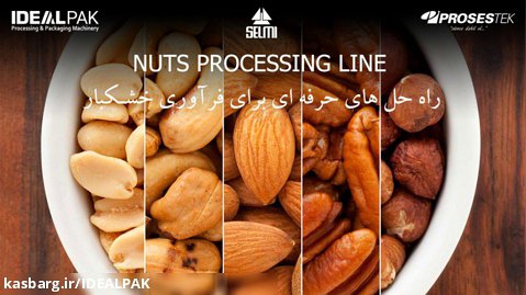 راه حل های حرفه ای برای فرآوری خشکبار Nuts Processing