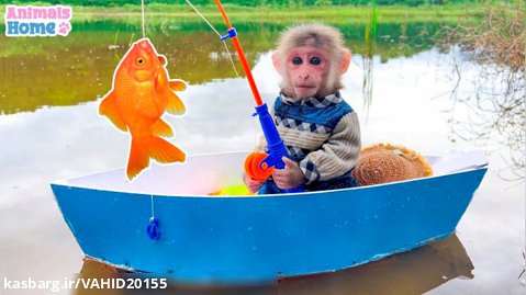 بازی و دوستی بچه میمون با جوجه اردک و توله سگ و ماهیگیری با قایق