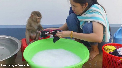 شستن لباس‌ها با مامان و حمام کردن میمون