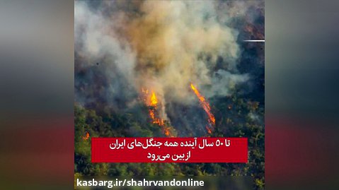 تا 50 سال آینده همه جنگل‌های ایران از بین می‌رود