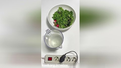 ضدعفونی سبزیجات با میوکس (قسمت دوم)