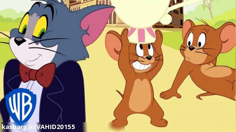 انیمیشن تام و جری - صلح - کارتون جدید موش و گربه