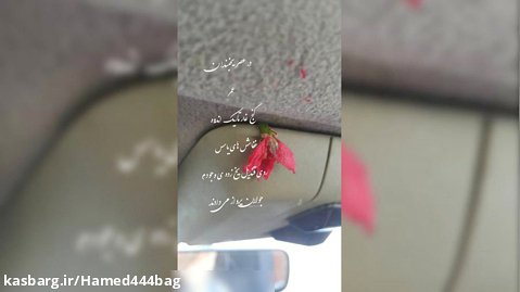 گل رویا (سعید کریمی پور)