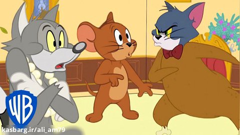 کارتون موش و گربه | انیمیشن تام و جری | گربه لباس مرغ میپوشد! خنده دار