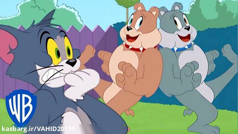 انیمیشن تام و جری - برادر اسپایک - کارتون موش و گربه