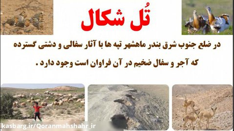 تُل شکال آثار باستانی بندر ماهشهر