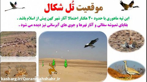 تل شکال شکار غزال گرمسیری آثار بندر ماهشهر
