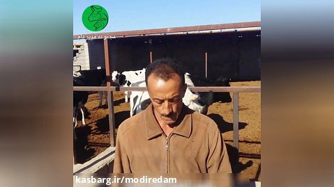 مصاحبه با پرورش دهندگان گاو شیری کشور عزیزمان (ایران)