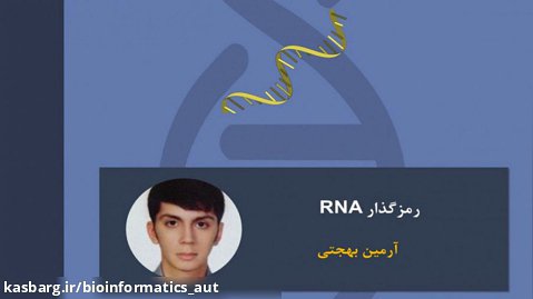 رمزگذار RNA