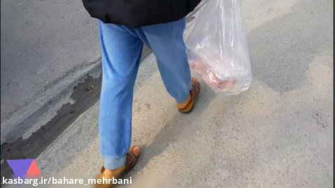 توزیع 50 بسته گوشت گرم بین مددجوها به مناسبت میلاد حضرت علی