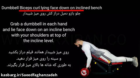 Dumbbell biceps curl lying face down on inclined bench