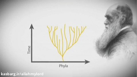 نقد نظریه تکامل داروین