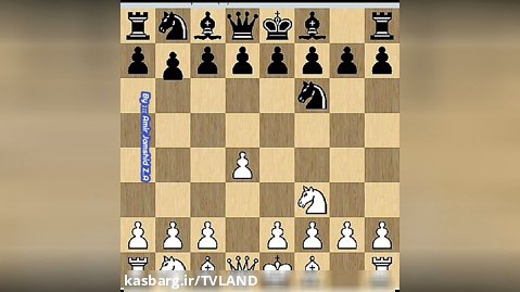 شطرنج ::: اموزش شطرنج :: تاکتیک ها و ترکیب های شطرنج