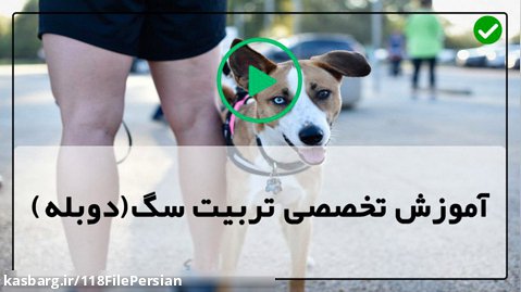 چگونگی آموزش به سگ ژرمن برای نگهبانی از خانه